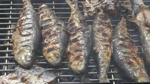 Grilled fish Stock Footage