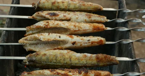 Grilled fish Stock Footage 99649841