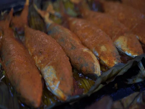Grilled fish 스톡 동영상 113031298