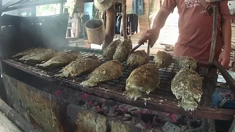 Grilled fish. Stock Footage 141992134