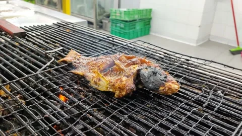 Grilled fish Stock Footage 218087284