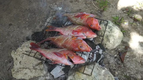 Grilled fish Stock Footage 241632851