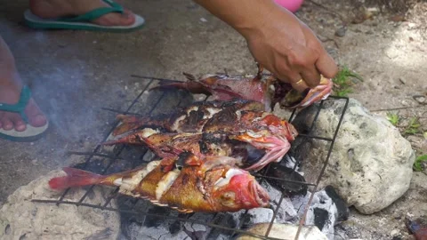 Grilled fish Stock Footage 241632941