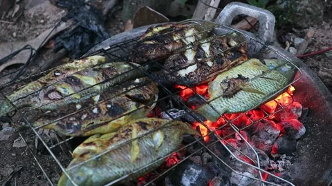 Grilled fish Video stock 269820041