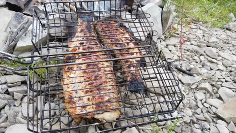 Grilled fish in a grill in the fire in camping Stock Footage 158786486