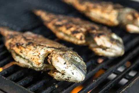Grilled fish on the grill Stock Photos