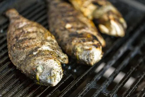 Grilled fish on the grill Stock Photos