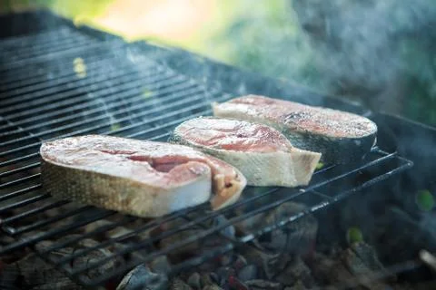 Grilled fish on the grill Fotos de archivo