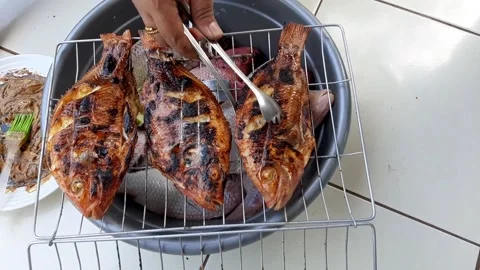 Grilled fish over a fire made of wood charcoal Stock Footage 277938818