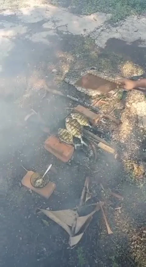 Grilled fish party Vídeo Stock 240398181