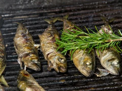 Grilled fish Stock Photos