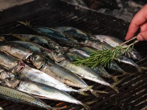 Grilled fish Foto stock