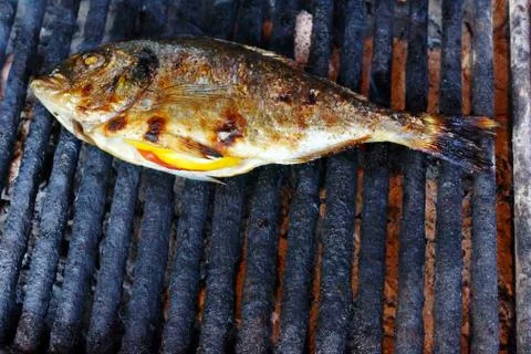 Grilled fish. Stock Photos