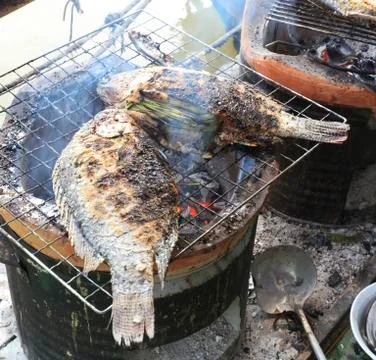 Grilled fish Stock Photos