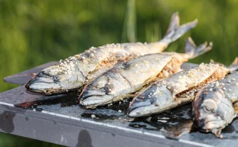 Grilled fish Stock Photos