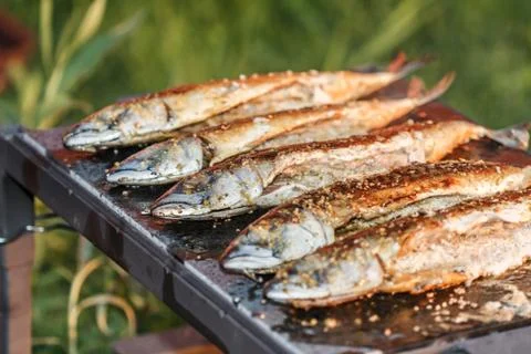 Grilled fish Stock Photos