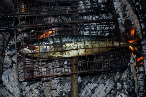 Grilled fish  Foto stock
