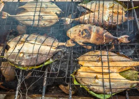 Grilled Fish Stock Photos