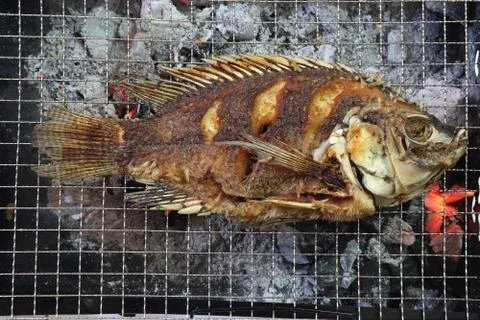 Grilled fish. Stock Photos
