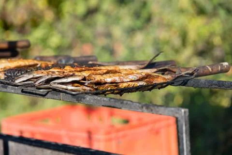 Grilled fish Stock-Fotos
