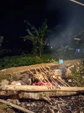 Grilled fish Stock Photos