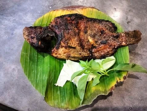 Grilled fish 库存照片