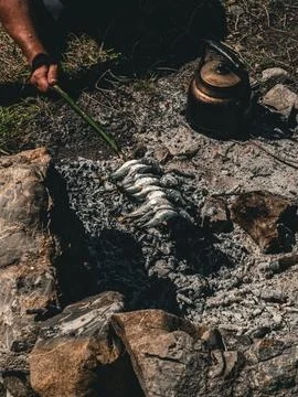 Grilled fish Stock Photos
