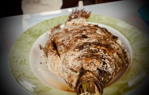Grilled fish on a plate on a table. Stock Photos