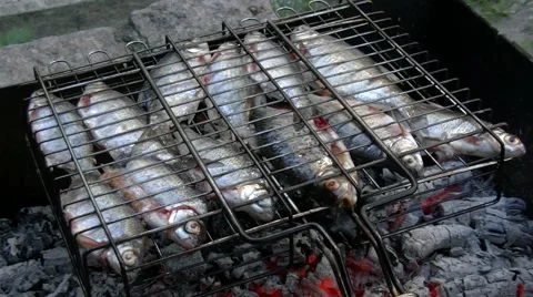 Grilled fish. Roaches. Beginning of cooking. Video stock 51003070