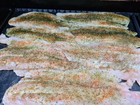 Grilled fish with spices on fire Stock Photos