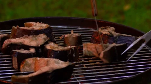 Grilled Fish Steak On The Grill Pan Video stock 78493362