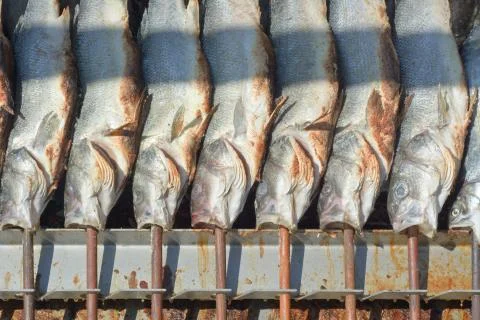 Grilled fish on a stick Stock Photos