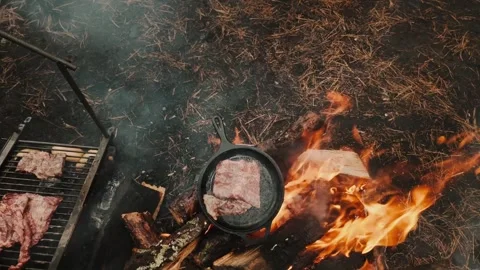 Grilled flank steak over a campfire at a campsite medium shot Stock Footage 339843409