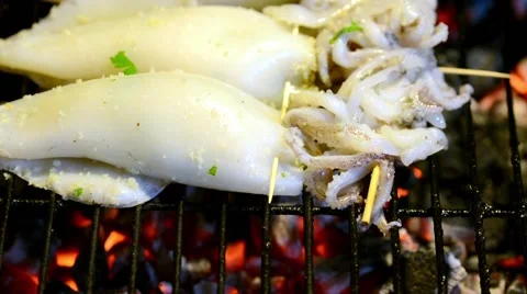 Grilled fresh squid Stock Footage 68238859