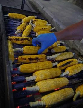 Grilled fried corn. The process of cooking roasted corn over hot coals. 스톡 사진