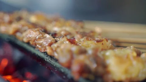 The grilled gate focuses on the middle 動画素材 267681510