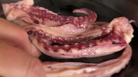 Grilled giant squid tentacles served with lemon and herbs as a gourmet seafood Stock Footage 345173483