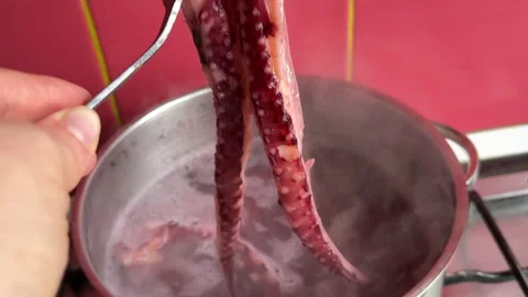 Grilled giant squid tentacles served with lemon and herbs as a gourmet seafood Stock Footage 345178253