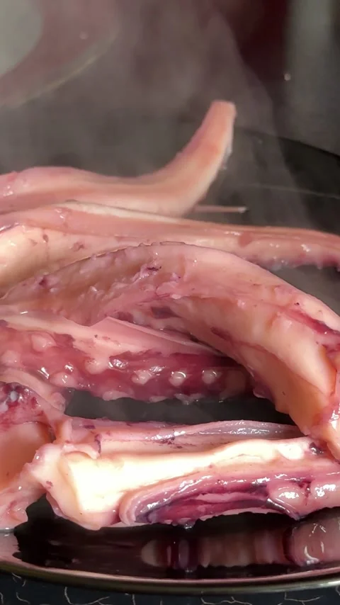 Grilled giant squid tentacles served with lemon and herbs as a gourmet seafood Stock Footage 345730721