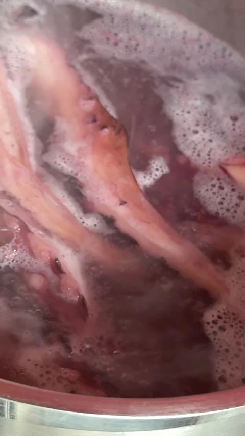 Grilled giant squid tentacles served with lemon and herbs as a gourmet seafood Stock Footage 345738506