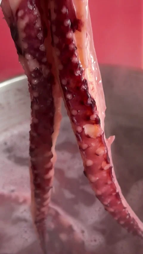 Grilled giant squid tentacles served with lemon and herbs as a gourmet seafood Stock Footage 345742887