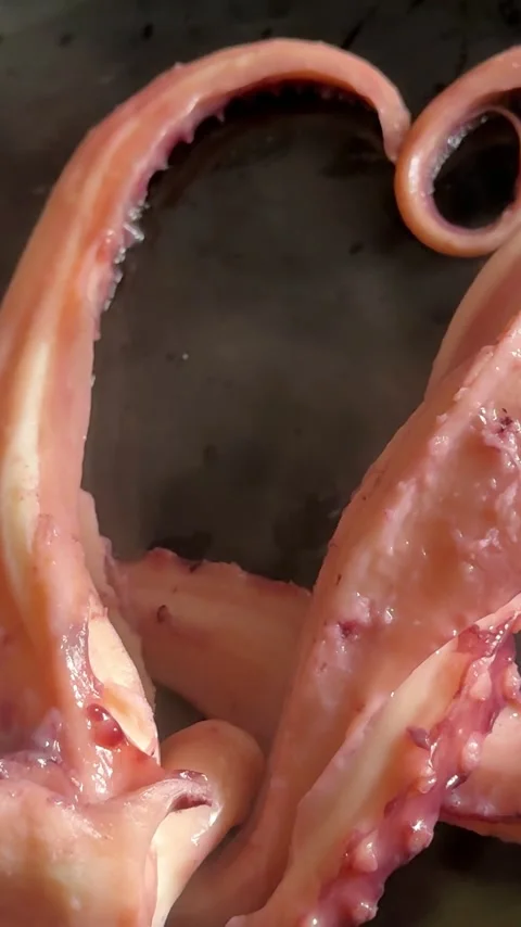 Grilled giant squid tentacles served with lemon and herbs as a gourmet seafood Stock Footage 345742918