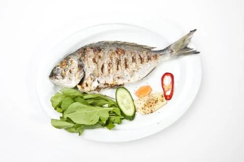 Grilled gilthead bream Stock Photos