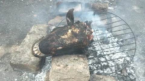 Grilled goat head Stock Footage 209129160