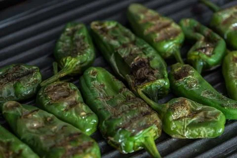 Grilled green bell peppers on electric grill spanish style. Close up Stock Photos