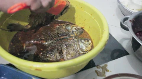 Grilled Gurami fish Stock Footage 237141559