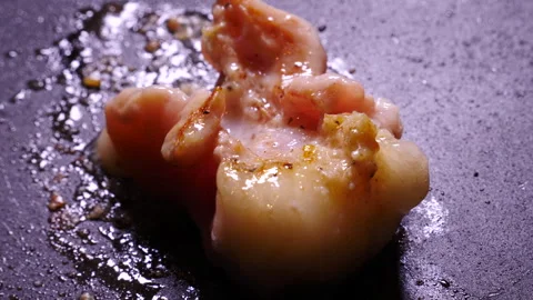 Grilled Hormone Yakiniku Vidéo 332885608