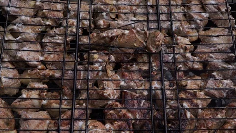 Grilled kebab on the grid Stock Footage 111748578