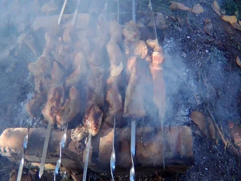 Grilled kebabs in the smoke Stock Footage 96450707
