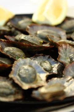 Grilled Limpets Stock Photos